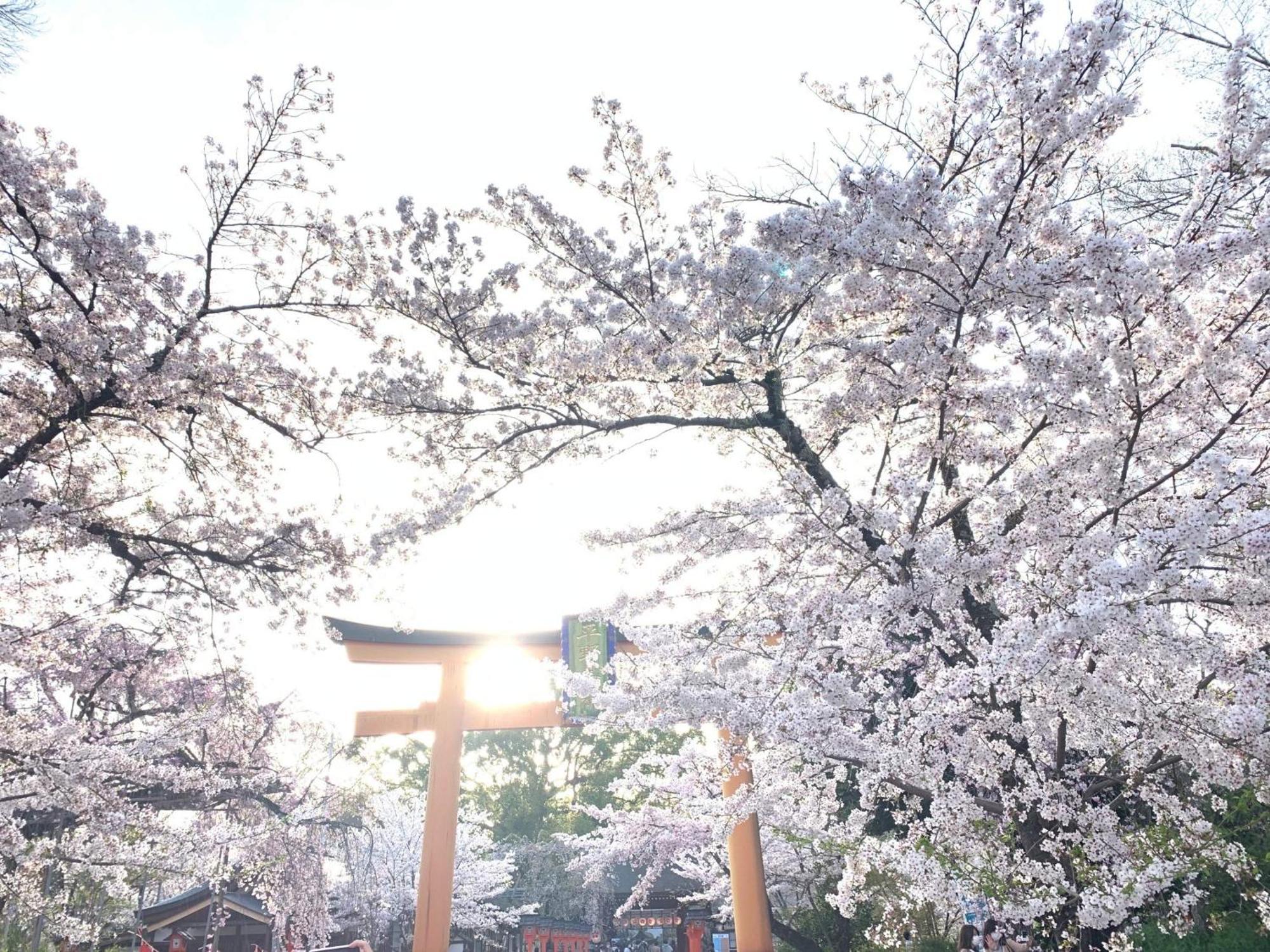 Kyounoyado Hana Nishijin - Kimono No Yado Kyoto Exteriör bild
